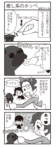 �����ϤΥۥå�