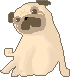 �ѥ��Ǻ�