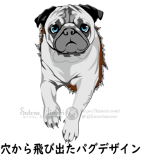 突き破りパグ